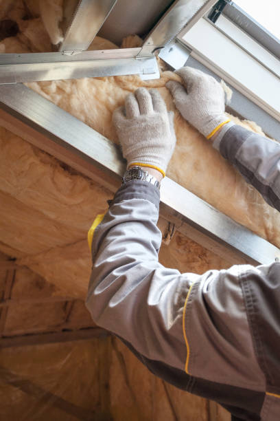 Best Cellulose Insulation in Sugarland Run, VA