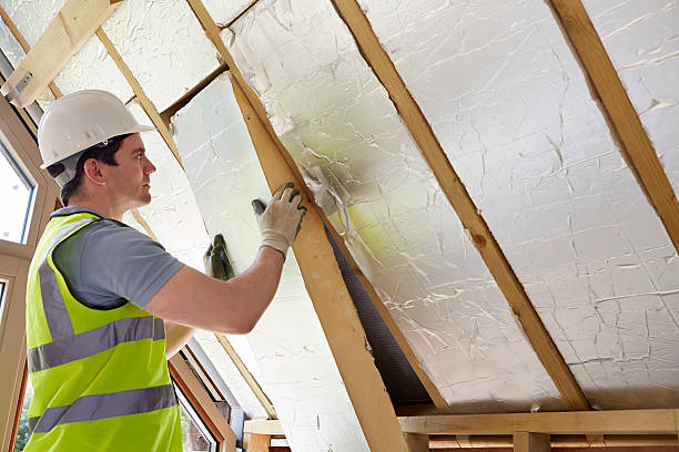 Best Geographic-Specific Insulation Services in Sugarland Run, VA