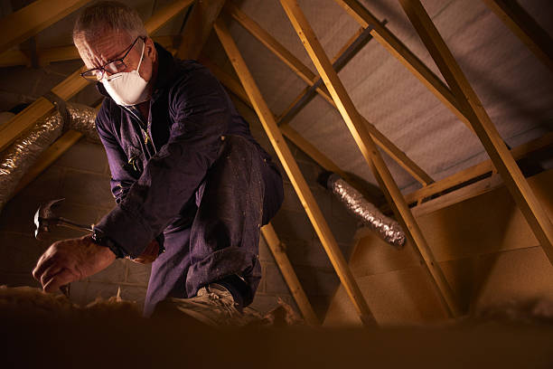 Best Spray Foam Insulation in Sugarland Run, VA